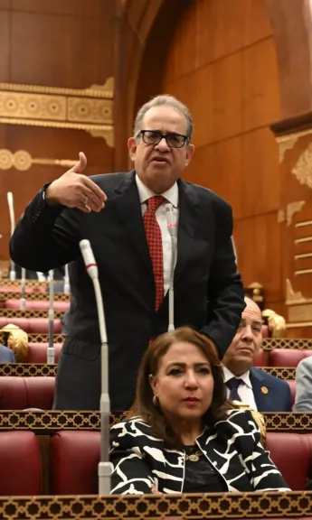 طارق عبد العزيز 