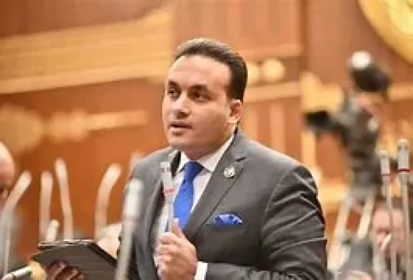 النائب عمرو فهمي