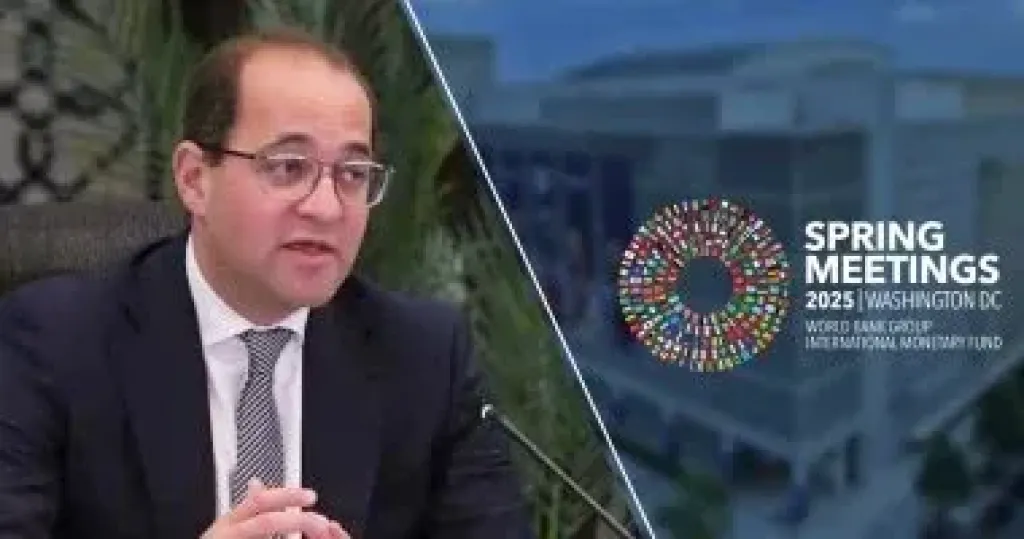 أحمد كجوك، وزير المالية