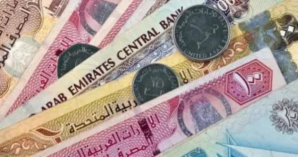 الدرهم الاماراتي 