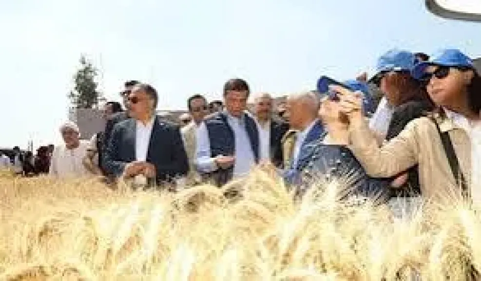 جانب من الجولة 