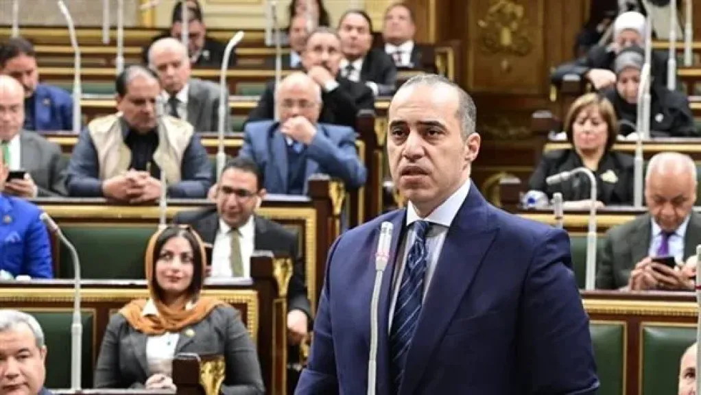المستشار محمود فوزي، وزير الشئون النيابية والقانوينة