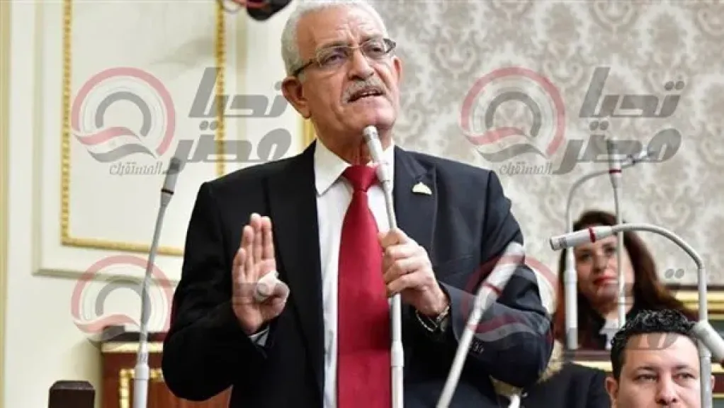 النائب عاطف المغاوري