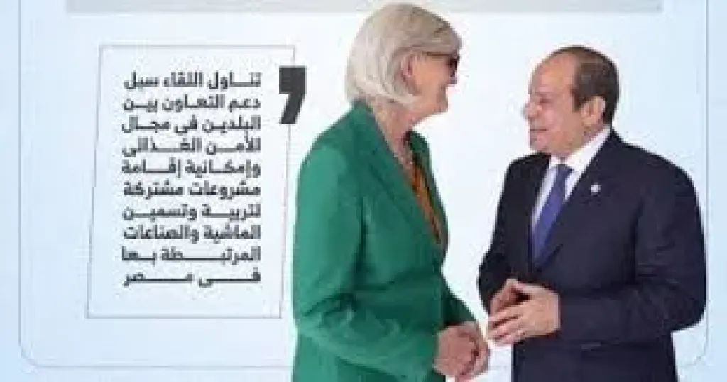 جانب من اللقاء 