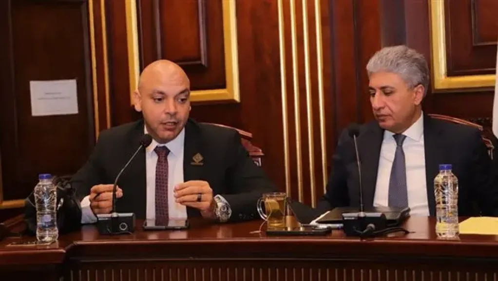 نائب التنسيقية محمود القط