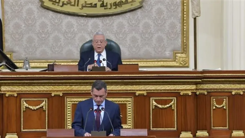 مجلس النواب 