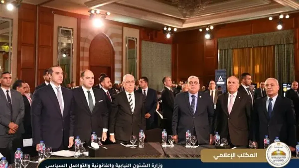 المستشار محمود فوزي