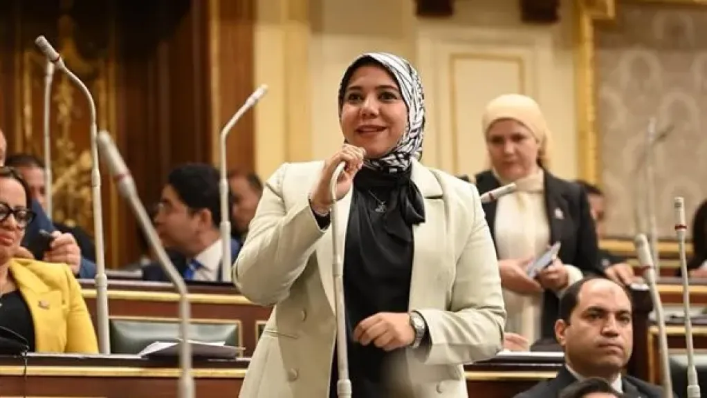 النائبة هيام الطباخ