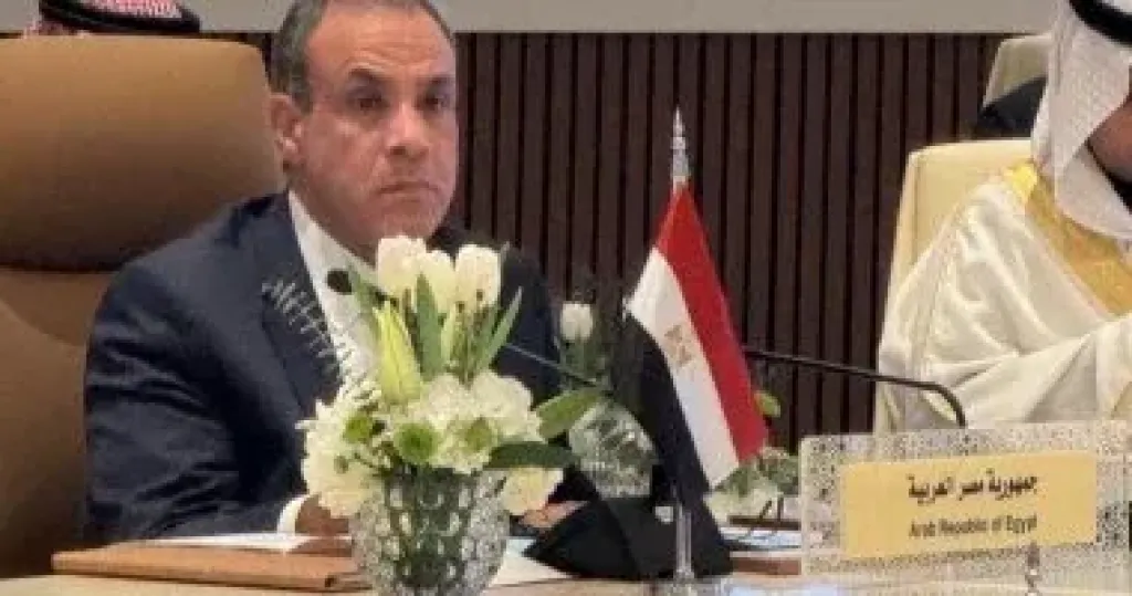 بدر عبد العاطي