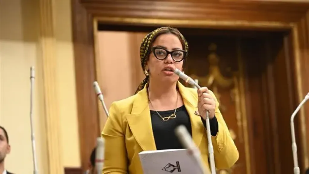النائبة رشا كليب عضو مجلس النواب عن تنسيقية شباب الأحزاب والسياسيين،