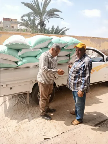 الذهب الأصفر يتلألأ بالبحيرة