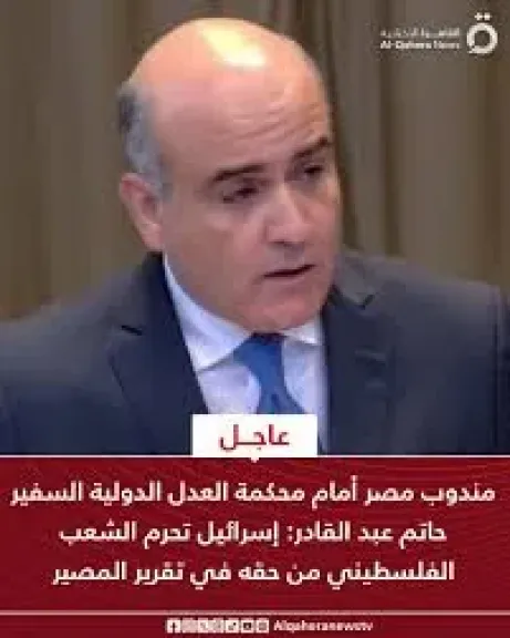 مندوب مصر 