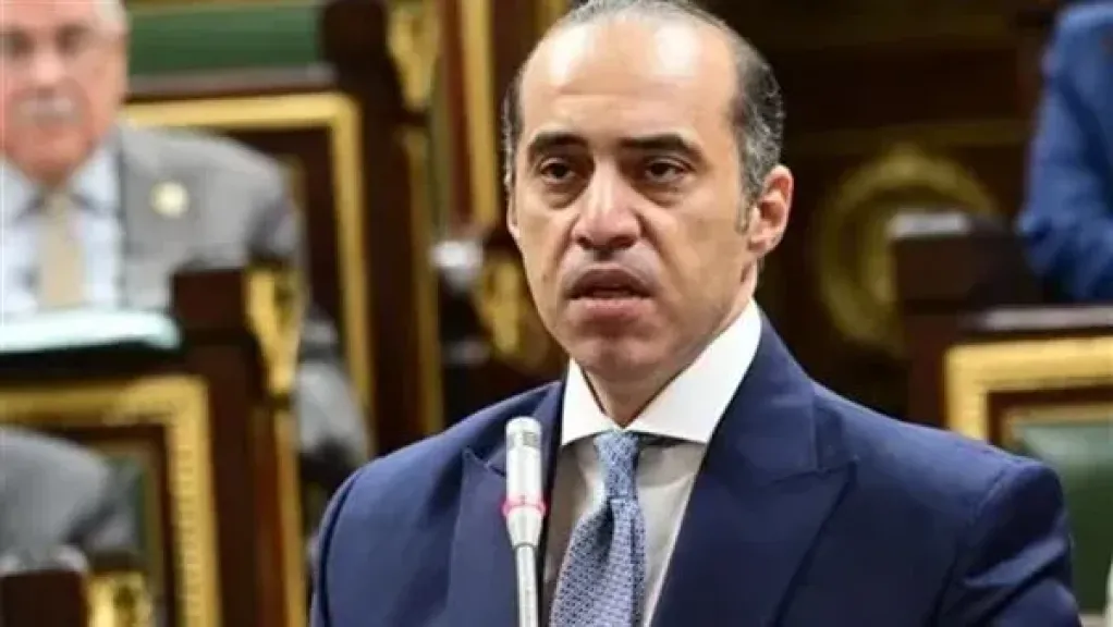 محمود فوزى