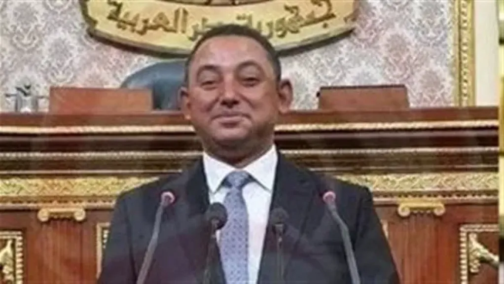 النائب ناصر عثمان، أمين سر اللجنة الدستورية والتشريعية بمجلس النواب