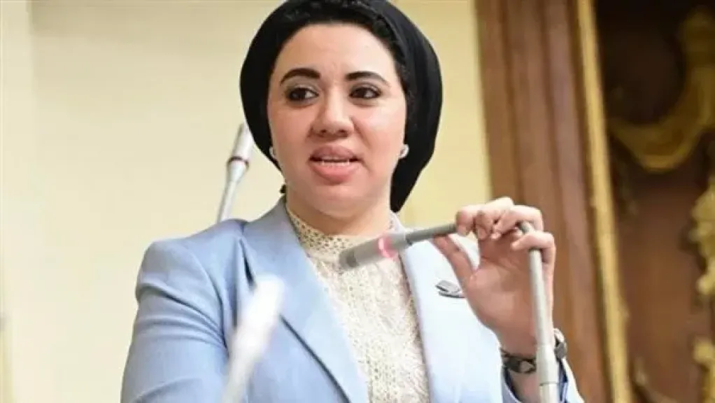 النائبة أميرة صابر