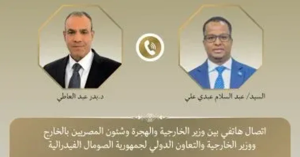 بدر عبد العاطي ووزير خارجية الصومال