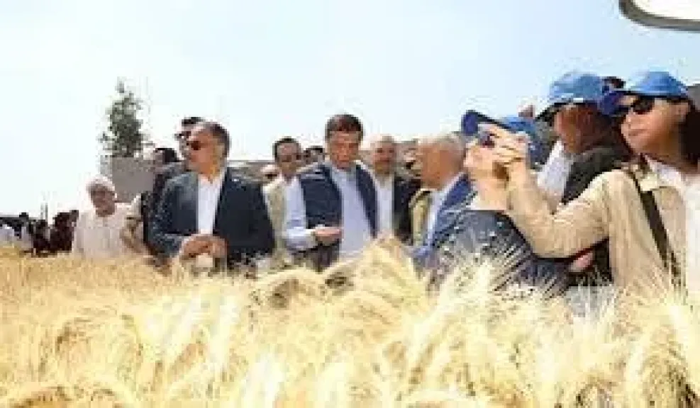 الزراعة 