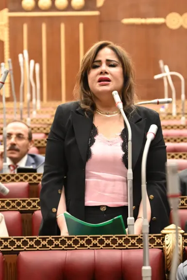 النائبة أمل رمزي