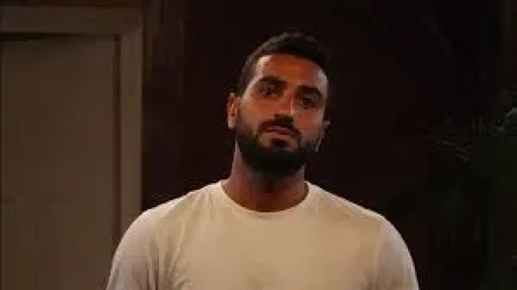 محمد شرنوبي