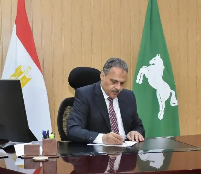 محافظ الشرقية 