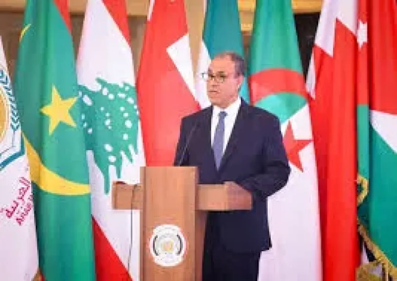 وزير الخارجية 