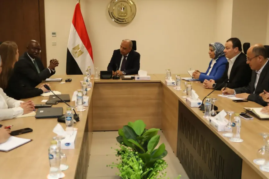 وزير الكهرباء