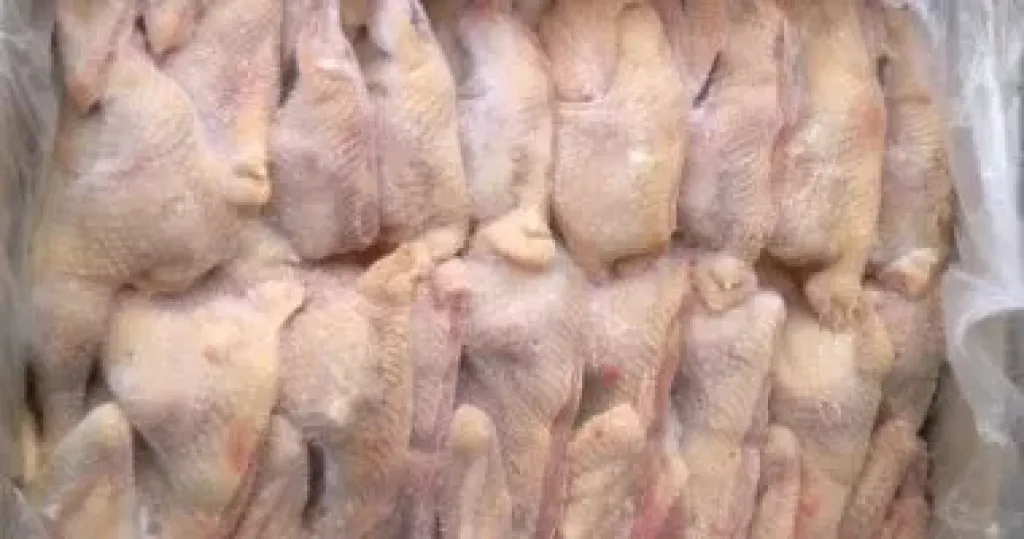 دواجن مجمدة 