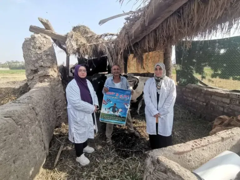 جانب من النشاط