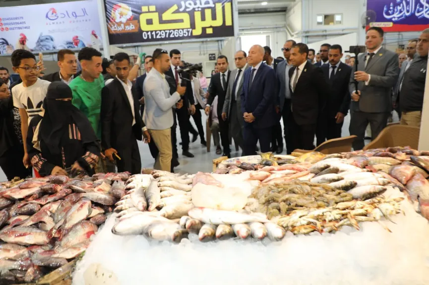 محافظ القاهرة