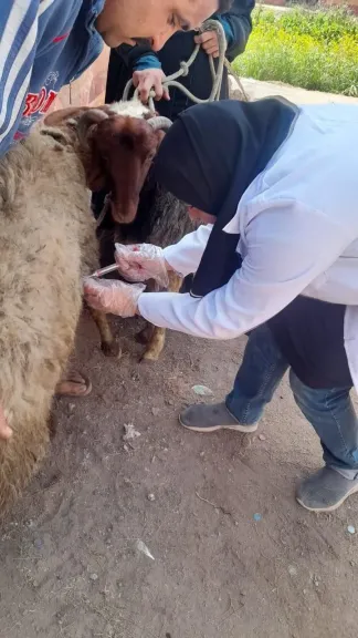 جانب من الاعمال