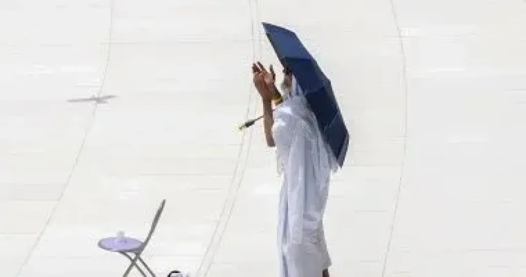 الحجيج