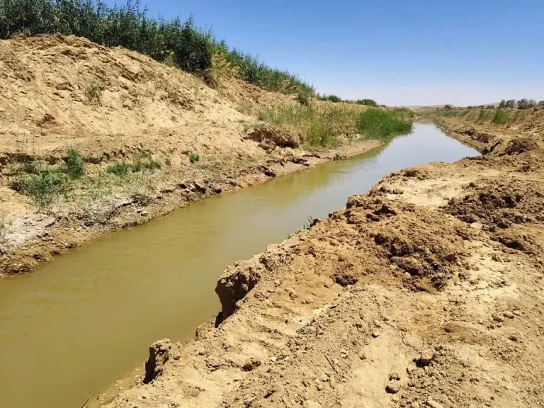 بحوث الصحراء