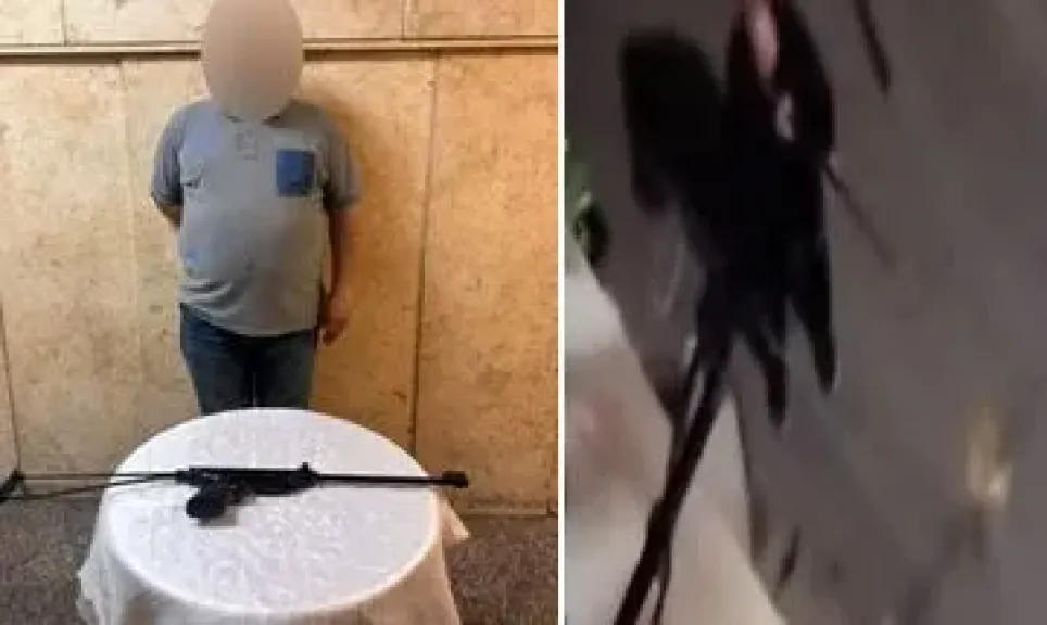 ضبط سائق أطلق أعيرة رش على الكلاب