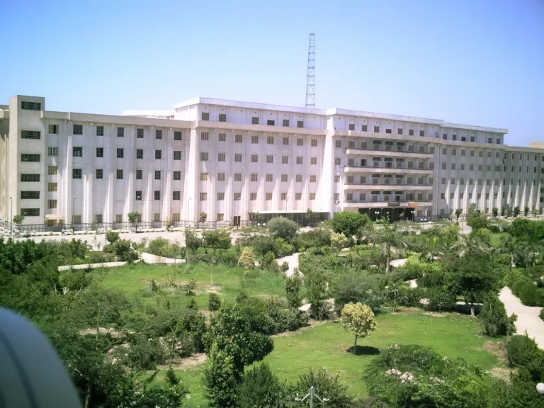 جامعة بني سويف