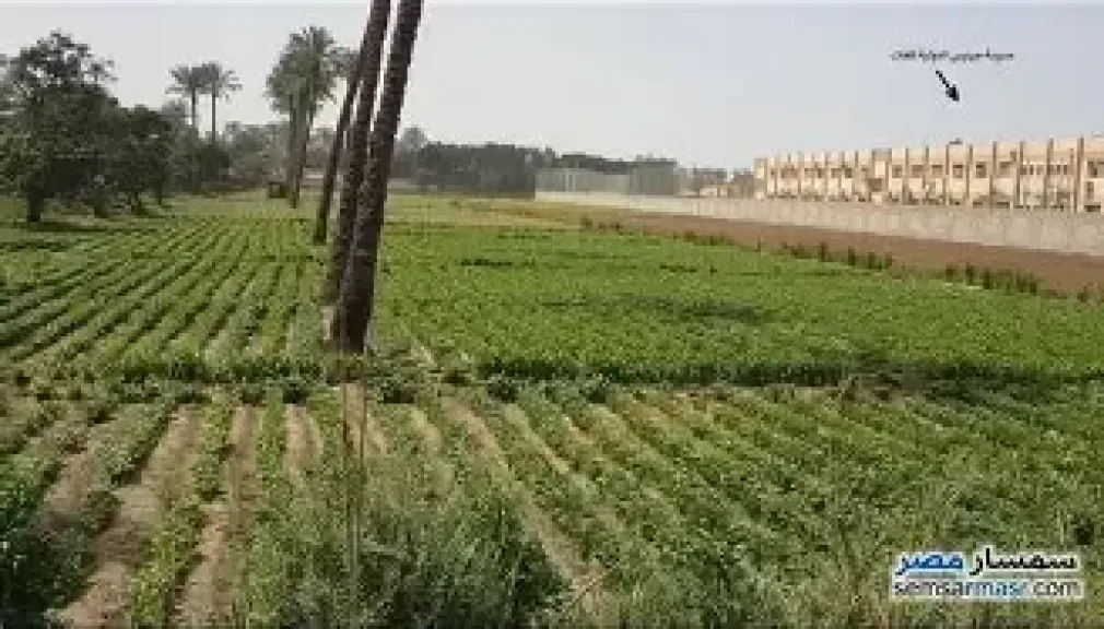 زراعة البحيرة 