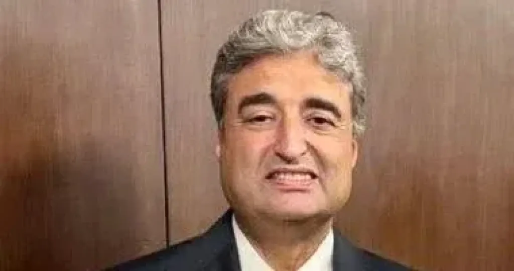 عمرو الألفي