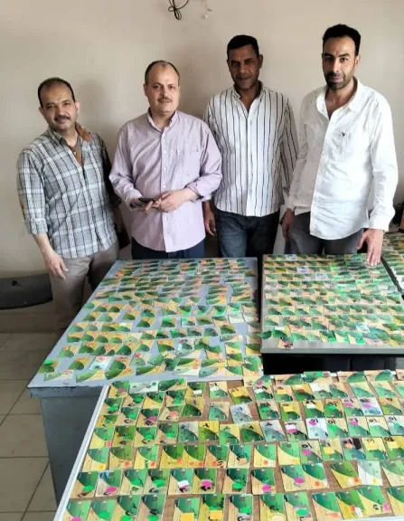 مخالفات تموينية