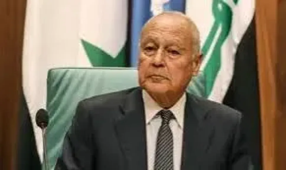 أبو الغيط 