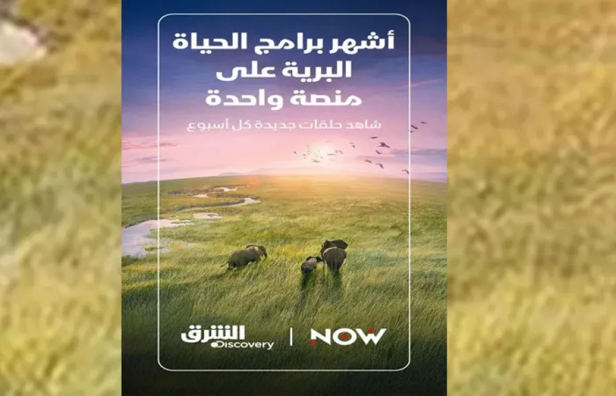 ”الشرق ديسكفري