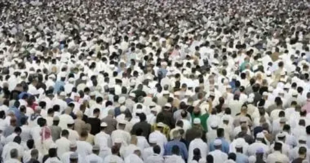  حجاج