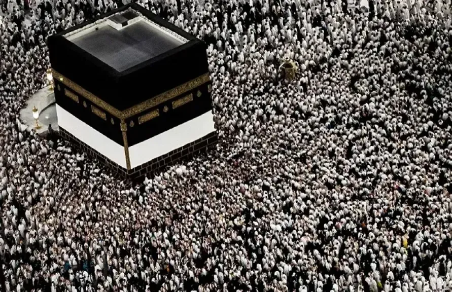 حجاج التضامن