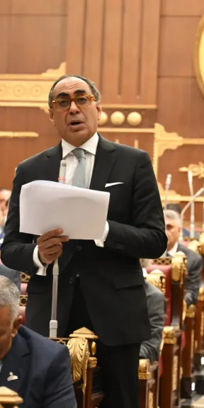  هاني سري الدين