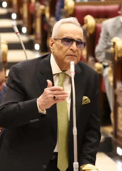 المستشار بهاء ابو شقة 