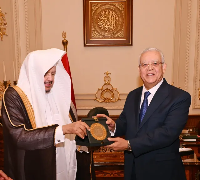جانب من اللقاء 