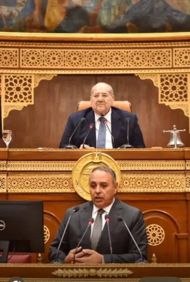 الانتخابات