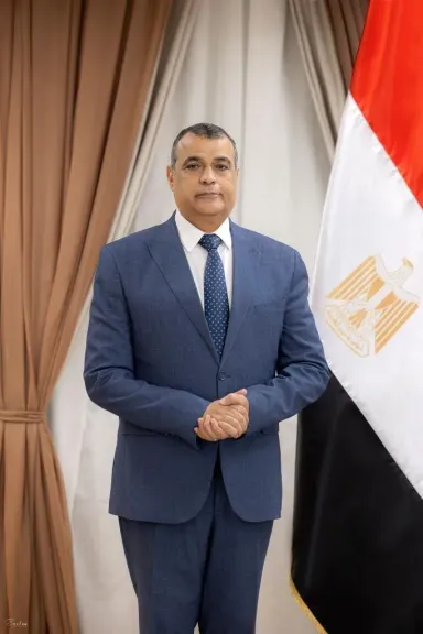 المهندس محمد صلاح الدين مصطفى