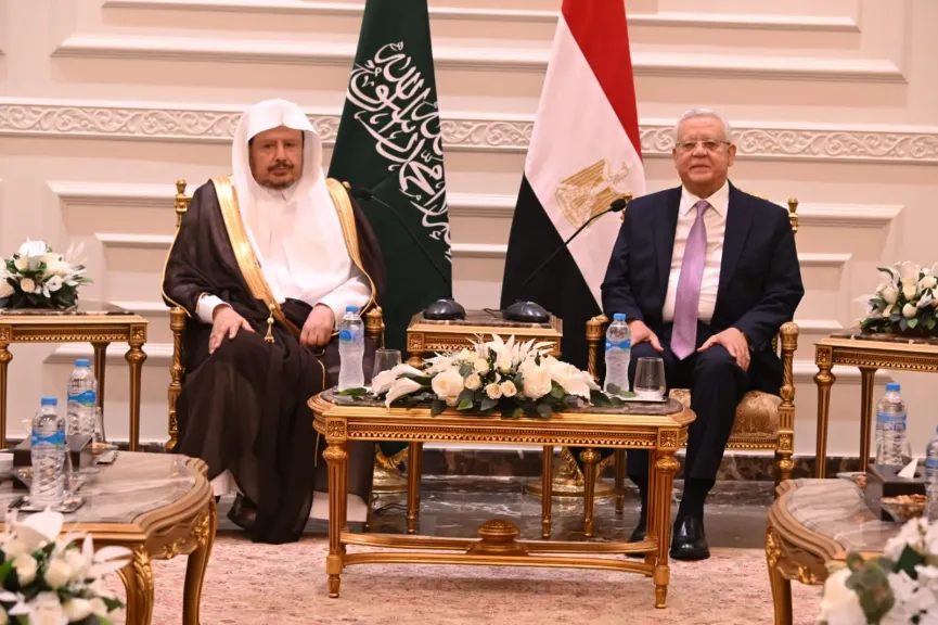 جانب من اللقاء 