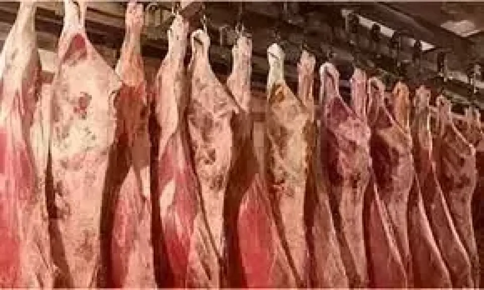 أسعار اللحوم اليوم