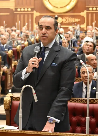 المستشار محمود فوزى