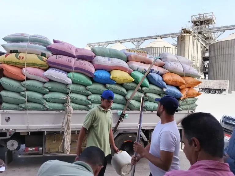 توريد القمح